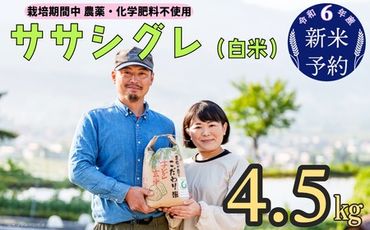 令和６年産　新米予約 【栽培期間中 農薬・化学肥料不使用】ササシグレ(白米)4.5kg真空包装（6-49）