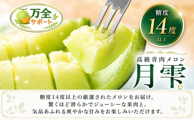 〈先行受付〉【2027年夏発送】北海道 赤肉メロン 北の女王 青肉メロン 月雫 秀品 約1.6kg 各1玉 令和9年 メロン 果物 フルーツ 旬 希少 甘い 豊潤 国産 産地直送 ギフト お祝い 贈答品 贈り物 お中元 お取り寄せ 送料無料 