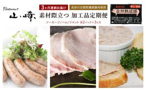 【3ヶ月連続お届け】【長谷川自然牧場産豚肉使用】【お家レストラン】素材際立つ 加工品定期便(ソーセージ/ハム/リエット各2パック×3ヶ月)
