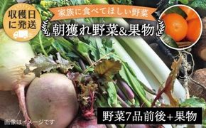 朝採れ！ 野菜 （ 7品 前後 ） セット ＋ 果物 《糸島》【オーガニックナガミツファーム】 [AGE004]