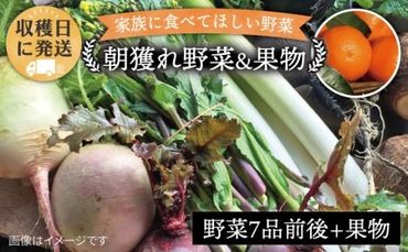 朝採れ! 野菜 ( 7品 前後 ) セット + 果物 [糸島][オーガニックナガミツファーム] 