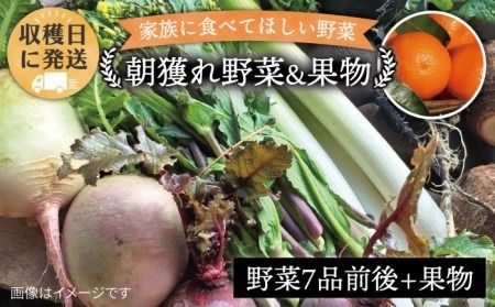 朝採れ！ 野菜 （ 7品 前後 ） セット ＋ 果物 《糸島》【オーガニックナガミツファーム】 [AGE004]