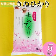 和歌山県産キヌヒカリ  5kg(2025年産) ※2025年9月中旬頃より順次発送予定
