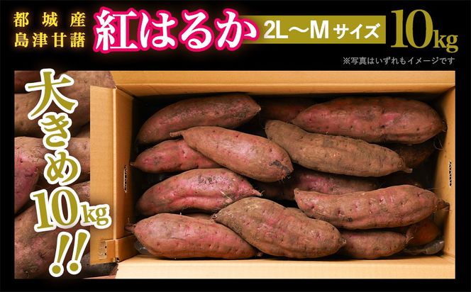 島津甘藷　熟成紅はるか 10kg(2L～M)_12-A701
