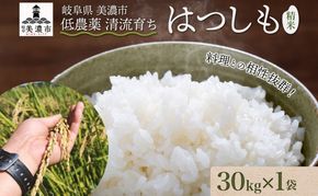 ＜先行予約＞令和8年産 はつしも 精米 30kg×1袋 低農薬 新米 お米 白米 米 ごはん 米 ご飯 ハツシモ R8年産 あっさり ブランド米 お取り寄せ 産地直送 送料無料 美濃グリーン 岐阜県 美濃市