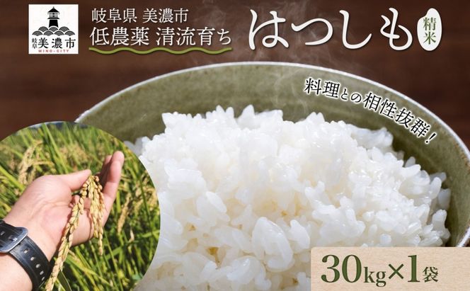 ＜先行予約＞令和8年産 はつしも 精米 30kg×1袋 低農薬 新米 お米 白米 米 ごはん 米 ご飯 ハツシモ R8年産 あっさり ブランド米 お取り寄せ 産地直送 送料無料 美濃グリーン 岐阜県 美濃市