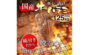 国産 特製たれ漬 牛ハラミ サガリ 250g～1250ｇ JX003