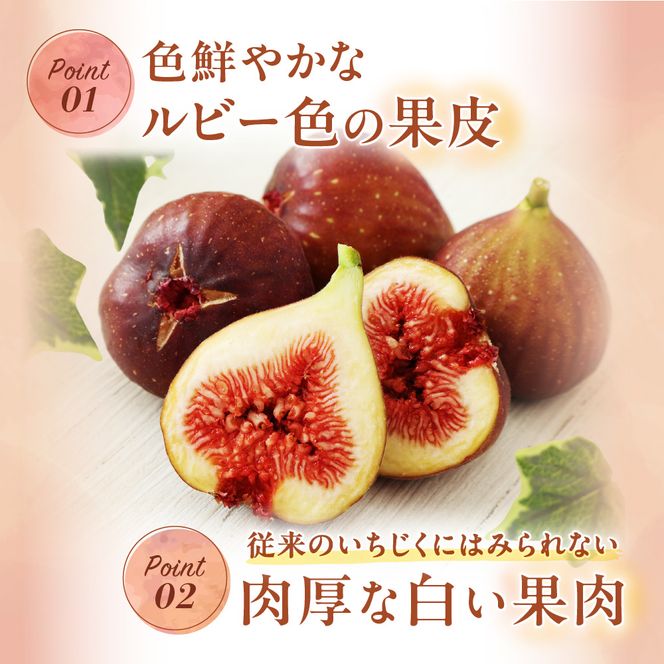 【寄附額改定!】プレミアムいちじく とよみつひめ　1.2kg【JAほたるの里】_HA0278