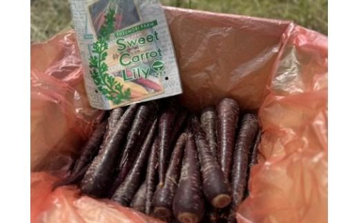 【期間限定】おどろきの甘さと抗酸化力！　黒人参『黒王』5Kg　にんじん スーパーフード 健康 メロン みかん 甘い 糖度 ジュース 自慢 カラフル ブラック キャロット 農作物 自然 野菜 老化防止 H022-014