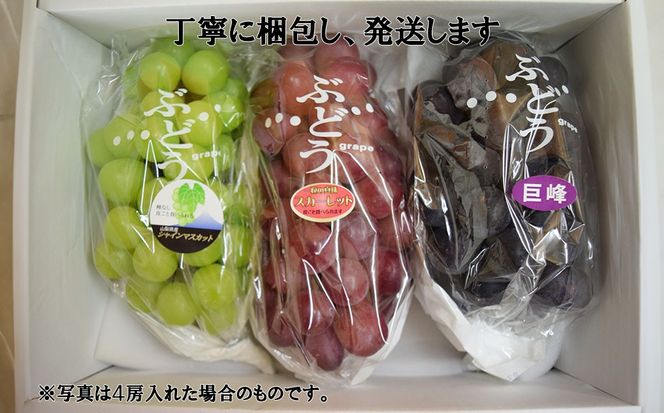 【2026年発送分】【数量限定】【フルーツ王国山梨】３色ぶどう食べ比べセット（巨峰・シャインマスカット・スカーレット 各１房・約２ｋｇ）　ぶどう 葡萄 ブドウ マスカット シャイン 赤ぶどう 黒ぶどう くだもの フルーツ 果物 食べ比べ お試し 山梨 やまなし 富士川町