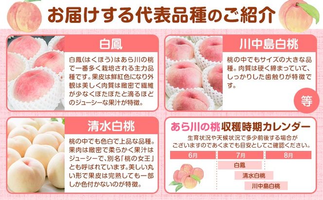 【先行予約】和歌山の厳選白桃【白鳳・清水白桃・川中島白桃 等】化粧箱入り 選べる内容量 約750g 約1.5kg 約2kg 約4kg 池田鹿蔵農園《7月上旬-8月中旬頃出荷》和歌山県 日高町 厳選 白桃 和歌山県産 白鳳 清水白桃 川中島白桃 桃 もも 果物 【配送不可地域あり】---wsh_cidn351_7j8c_26_8000_750g---