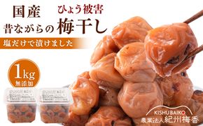 無添加梅干し ひょう被害エール規格外昔ながらの梅干し 塩のみで漬けたすっぱい梅干し 1kg（500gパック×2個） 塩分20% 20-HYO ［KU13］ 303446_ED90012
