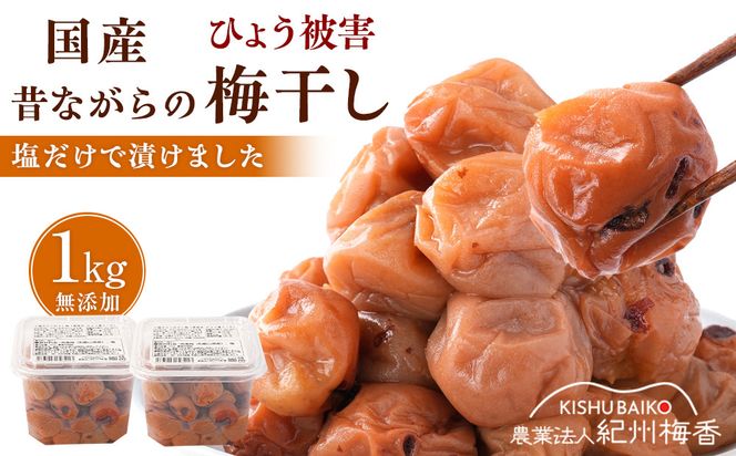 無添加梅干し ひょう被害エール規格外昔ながらの梅干し 塩のみで漬けたすっぱい梅干し 1kg（500gパック×2個） 塩分20% 20-HYO ［KU13］ 303446_ED90012