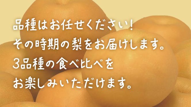 【食べ比べ】 梨 3品種 合計 約7kg 【2026年9月上旬発送開始】(茨城県共通返礼品：大子町) なし 果物 くだもの フルーツ おまかせ 旬