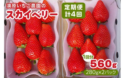 [定期便/4回] 澳原いちご農園のスカイベリー定期便 (毎月お届け 計4回)|いちご イチゴ 苺 スカイベリー フルーツ 果物 産地直送 栃木県産 期間限定 数量限定 先行予約 [0601]