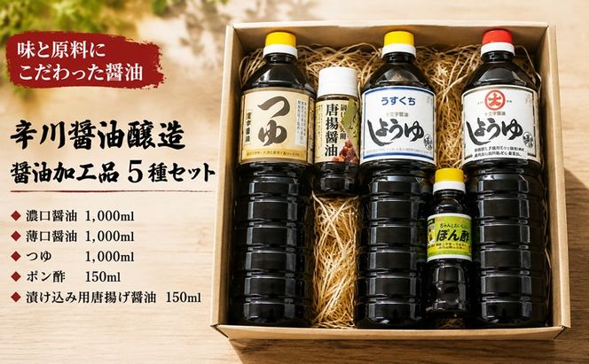 醤油 醤油加工品 セット 5種 薄口 濃口 しょうゆ つゆ ポン酢 辛川醤油醸造 