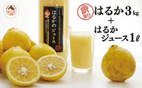 【 訳あり 】先行予約 あいなんマザーズ の 完熟 はるか 3kg ＋ はるか ジュース 1本 セット 訳あり 3kg 1L みかん 先行 事前 予約 はるか 愛媛 産地直送 国産 農家直送 減農薬 完熟 香り 糖度 濃厚 果樹園 期間限定 数量限定 特産品 ネクター ストレートジュース 100% 人気 限定 愛南 愛媛県 新鮮 果実 さわやか ジューシー 甘い 上品 フルーツ 果物 柑橘 セット