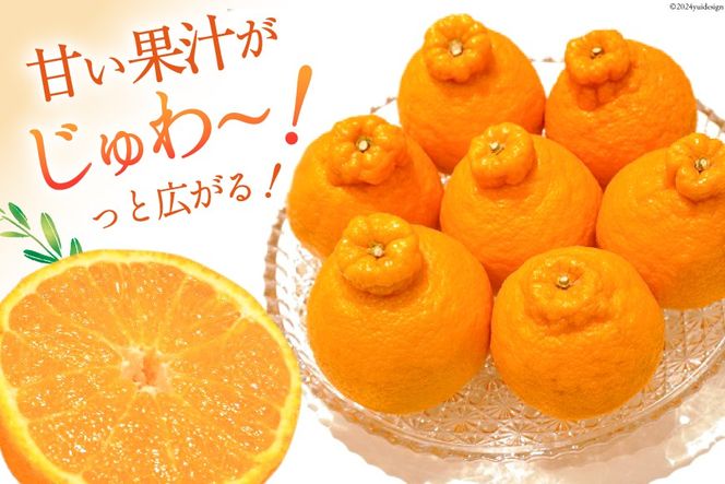 【期間限定発送】じゅわーっと甘い 不知火 約3kg（ハウス栽培・化粧箱入り） [たけちゃん農園 宮崎県 日向市 452060822] 果物 フルーツ 柑橘類