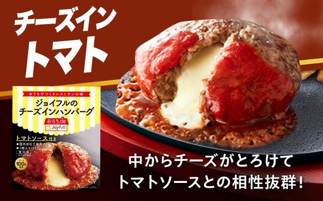 ジョイフル ハンバーグ スペシャル 詰め合わせ 2種 30個 セット《築上町》【株式会社　ジョイフル】[ABAA071]