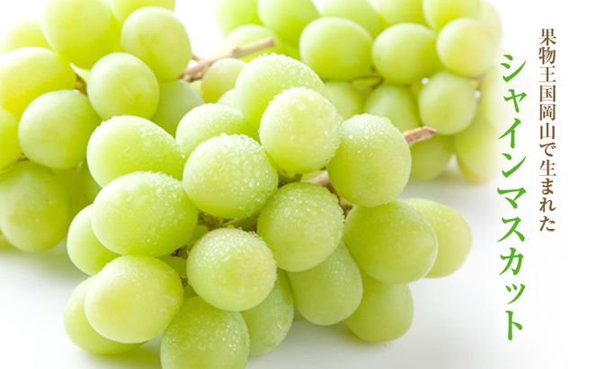 【2026年 先行予約】【訳あり品】シャインマスカット 6～10房 合計約4kg 冷蔵配送 ぶどう 葡萄 フルーツ 果物 岡山 高梁市