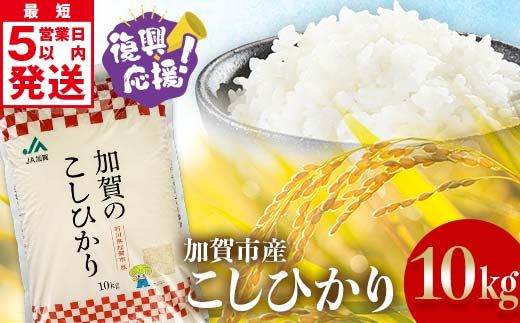 【最短5営業日発送】復興応援米 令和7年産こしひかり 10kg(5kg×2袋) 精米 銘柄米 お米 米 ギフト 贈り物 グルメ 食品 復興 震災 コロナ 能登半島地震 復興支援 北陸新幹線 F6P-3207