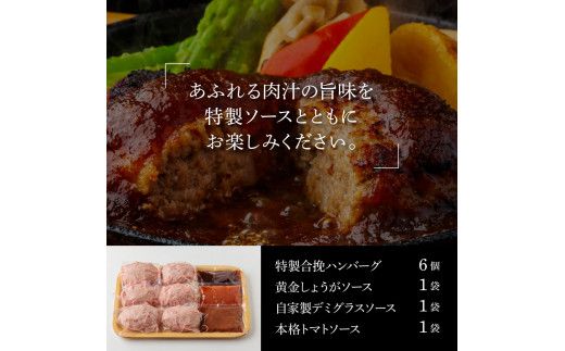 【CF-R7hbk】CDM012　1/1～寄附額変更  食べ比べ！老舗レストランの国産牛・美鮮豚ハンバーグ130g×6ケ＋ソース3種各1袋 ハンバーグ セット 13000円 トマトソース デミグラス 牛肉 豚肉 和牛 美味しい おいしい 小分けパック 個包装 冷凍 故郷納税 