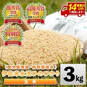 isa535 ＜14営業日以内に発送！＞令和7年産 特別栽培米 永池ひのひかり玄米(3kg) 鹿児島 永池 お米 米 玄米 伊佐米 九州米サミット 食味コンテスト 最優秀賞受賞 ヒノヒカリ 【エコファーム永池】