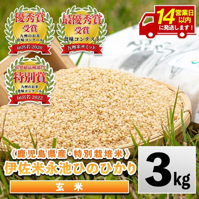 isa535 ＜14営業日以内に発送！＞令和7年産 特別栽培米 永池ひのひかり玄米(3kg) 鹿児島 永池 お米 米 玄米 伊佐米 九州米サミット 食味コンテスト 最優秀賞受賞 ヒノヒカリ 【エコファーム永池】