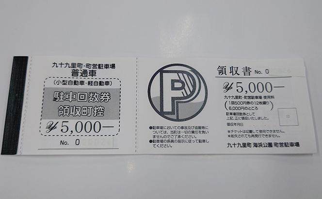 旅行 九十九里町 海岸 町営 駐車場 12回分 回数券 チケット 券 ギフト券 利用券 体験 海 マリンスポーツ