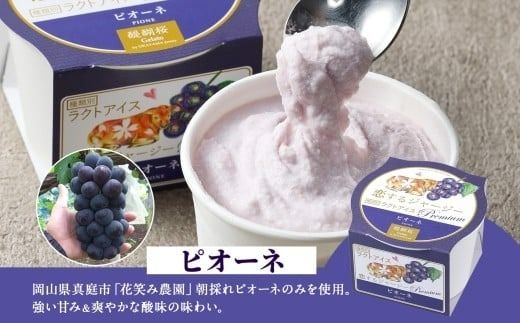 【ジェラート醍醐桜】恋するジャージーPremium2種 （ゴールデンミルク＆ピオーネ）計8個セット / 岡山 真庭 醍醐桜 極上スイーツ 濃厚 プレゼント 贈答 デザート ギフト ジャージー牛 ミルク ジェラート おやつ ぶどう 子供から大人まで 冷凍 人気 贅沢 家庭用にも 【nhss030-01】