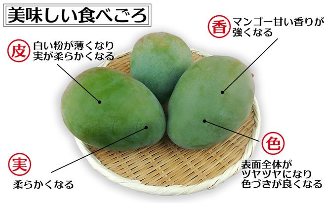 【2027年発送】大宜味村キーツマンゴー約2kg【数量限定】