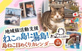 湯島ねこ募金 地域猫活動支援 【湯島猫部】ねこの島！湯島！ 「島ねこ日めくりカレンダーin湯島」 カレンダー 日めくり 日めくりカレンダー 猫 ねこ ネコ