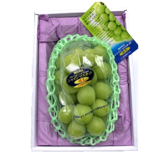 ぶどう 2026年 先行予約 シャインマスカット 晴王 1房 約800g 化粧箱入り 岡山県 赤磐市産 果物 フルーツ 葡萄 ブドウ