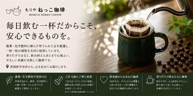【選べる 豆 / 粉】ねっこ珈琲 厳選自家焙煎コーヒー 200g（100g×2種）飲み比べ | 珈琲 コーヒー コーヒー豆 飲み比べ 茨城県守谷市
