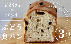 ぶどう食パン 3本