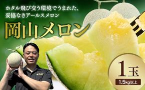 【2026年先行予約】 岡山メロン アールスメロン1玉（1.5kg以上） ※7月末より順次発送 岡山県 真庭市 フルーツ 果物 高級 ギフト 贈答 ご家庭用 【mnem001-01】