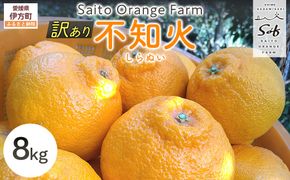 【先行予約】Saito Orange Farmの訳あり不知火8kg（2026年2月下旬頃より順次発送） IKTAQ012