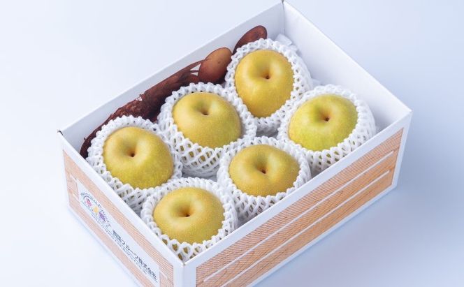 梨 季節の朝倉の梨 2.5kg 2-6玉 配送不可 離島 果物 フルーツ デザート おやつ 福岡県産 朝倉市産 秋の味覚 幸水 豊水 秋月 新高 南水 