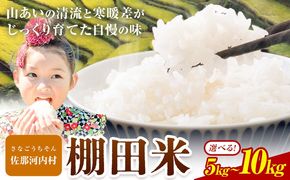 清流と寒暖差が生む村自慢の「棚田米」 5kg 10kg《11月中旬-12月末より発送》徳島県 佐那河内村 棚田米 米 白米 ---sanagouchi_lcl_15_5kg---