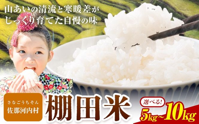 y߉͓zƊgޑ́uIcāv 5kg 10kgs10{蔭t ߉͓ Ic   ---sanagouchi_lcl_15_5kg---