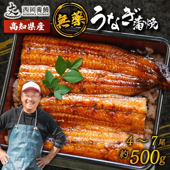 国産 うなぎ 蒲焼 4～7尾 約500g▼ 国産 うなぎ 鰻 ウナギ 蒲焼 うなぎ 蒲焼き うなぎ タレ 山椒 付き うなぎ ウナギ 鰻 冷凍 鰻 うなぎ ウナギ 鰻 人気 ウナギ うなぎ おすすめ うなぎ おいしい unagi うなぎ かばやき うなぎ 高級 特別 贅沢 うなぎ ウナギ 鰻 ひつまぶし うなぎ ウナギ 夏 鰻 高知県安芸市/西岡養鰻