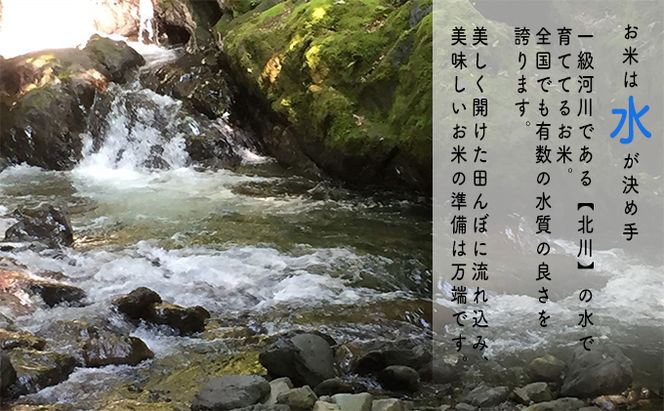 【6ヶ月連続】令和8年産福井県若狭町コシヒカリ（一等米）5kg（山心ファーム） お米 福井県産 甘い