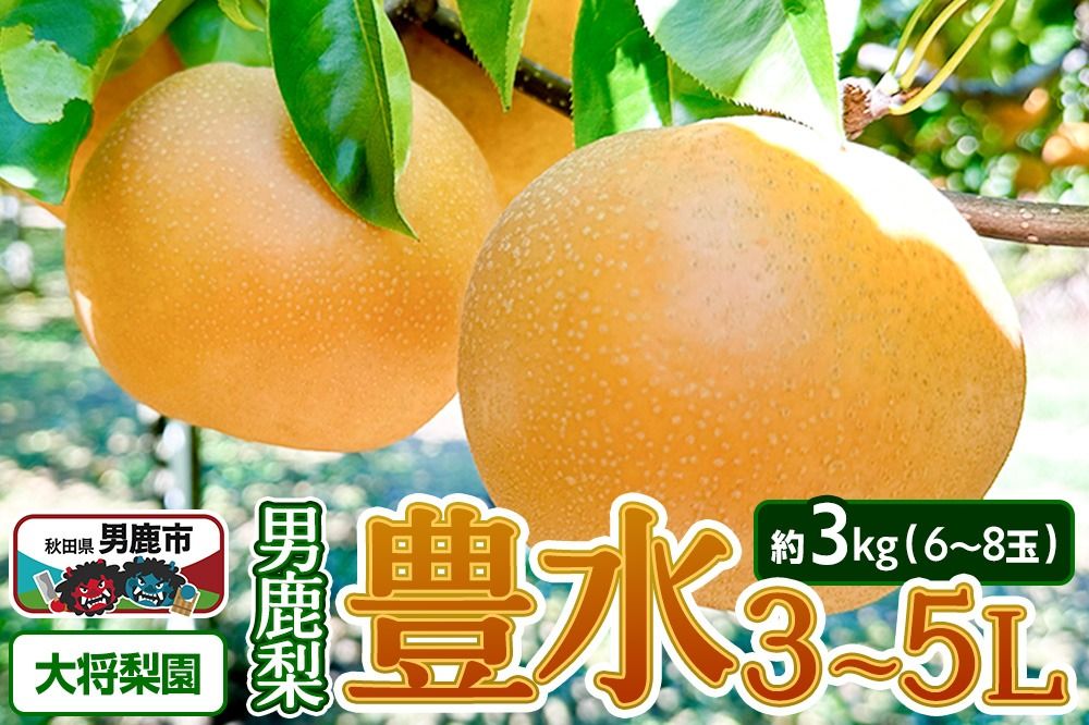 [先行受付]2026年9月中旬〜下旬発送 男鹿梨「大将梨園」豊水 約3kg 6〜8玉 3〜5L 梨 秋田県 男鹿市|23_tsn-010301