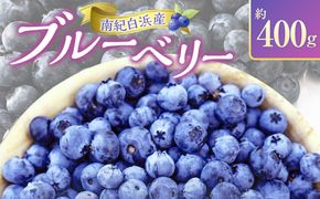 南紀白浜産ブルーベリー 約400g 304018_Y008