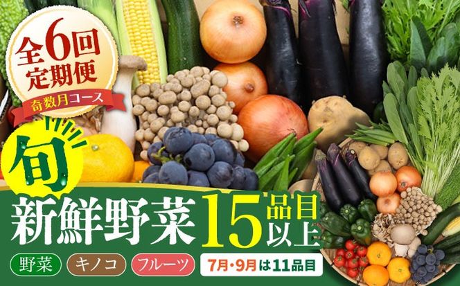 【6回定期便】【奇数月コース】豪華！野菜 セット 15品目以上 6回 定期便 フルーツ キノコ 詰め合わせ / 南島原市 / 吉岡青果 [SCZ002]