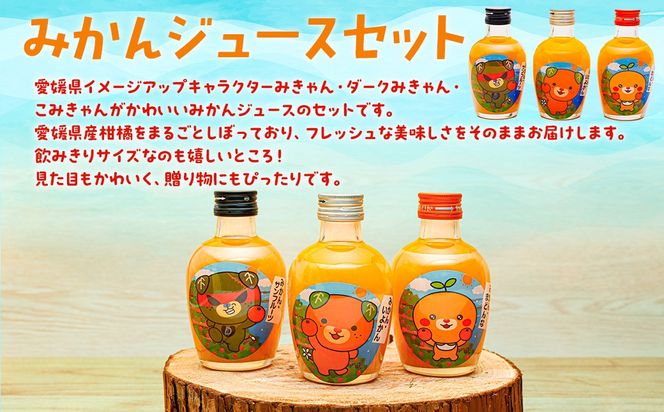 【先行予約】みかんジュースセットＢ 200ml×12本 ※北海道、沖縄・離島への配送不可（2025年12月より順次発送予定） IKTI019