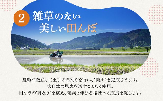 【12月お届け】若狭町コシヒカリ5kg 米 お米 こしひかり 福井県