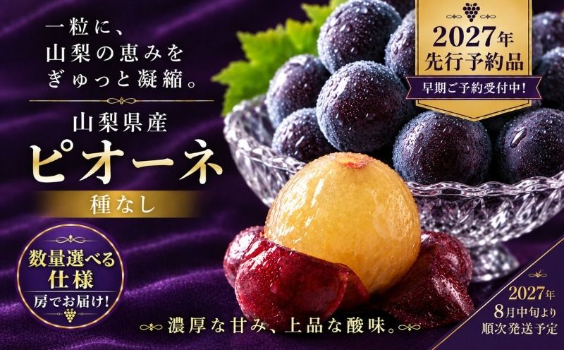 [2027年 先行予約] 山梨県産 種なしピオーネ 選べる容量 500g以上 約1kg 約2kg 1房 2〜3房 3〜5房 ピオーネ 種無し ブドウ ぶどう 葡萄 フルーツ 果物 贈答 プレゼント FB002_057_058