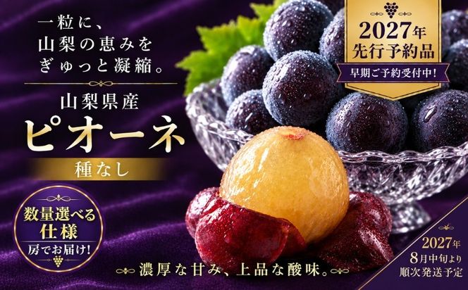 【2027年 先行予約】 山梨県産　種なしピオーネ 選べる容量 500g以上 約1kg 約2kg 1房 2～3房 3～5房  ピオーネ 種無し ブドウ ぶどう 葡萄  フルーツ 果物 贈答 プレゼント FB002_057_058