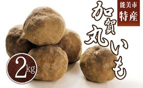 能美市産 加賀丸いも 2kg 野菜 芋 
